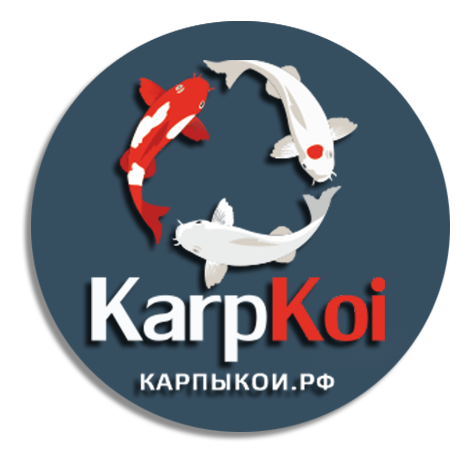 карп кои купить Челябинск